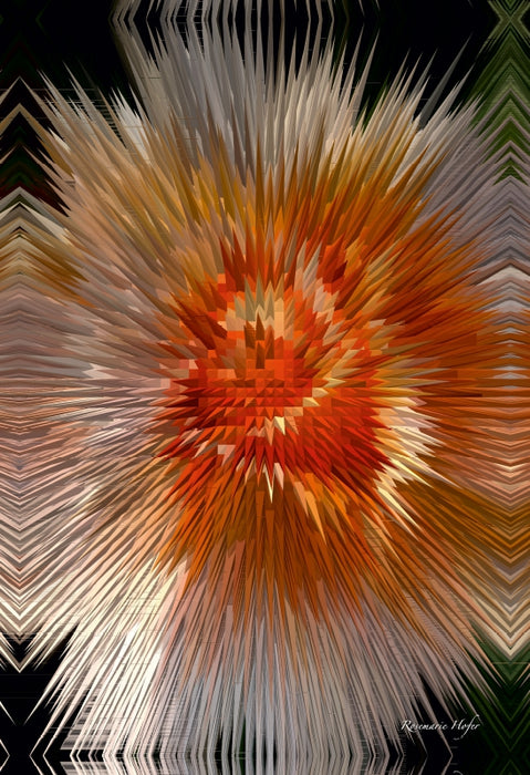 Premium Textil-Leinwand Premium Textil-Leinwand 50 cm x 75 cm hoch Flower Explosion III PHOTO ART° by Rosemarie Hofer