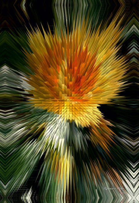 Premium Textil-Leinwand Premium Textil-Leinwand 50 cm x 75 cm hoch Flower Explosion Flower Explosion X PHOTO ART° V PHOTO ART° by Rosemarie Hofer