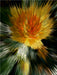 Flower Explosion Flower Explosion X PHOTO ART° V PHOTO ART° by Rosemarie Hofer - CALVENDO Foto-Puzzle - calvendoverlag 29.99