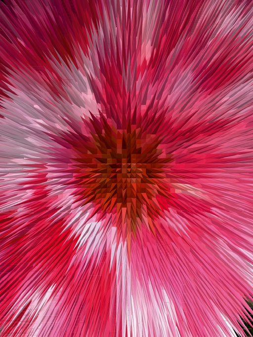 Flower Explosion PHOTO ART° by Rosemarie Hofer - CALVENDO Foto-Puzzle - calvendoverlag 29.99