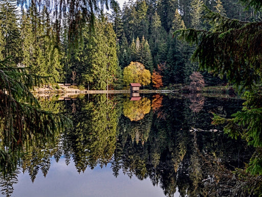 Der Glaswaldsee bei Bad Peterstal - CALVENDO Foto-Puzzle - calvendoverlag 29.99