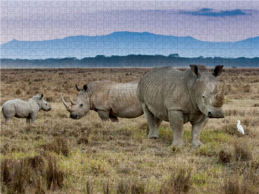 Familie Breitmaulnashorn - CALVENDO Foto-Puzzle - calvendoverlag 79.99