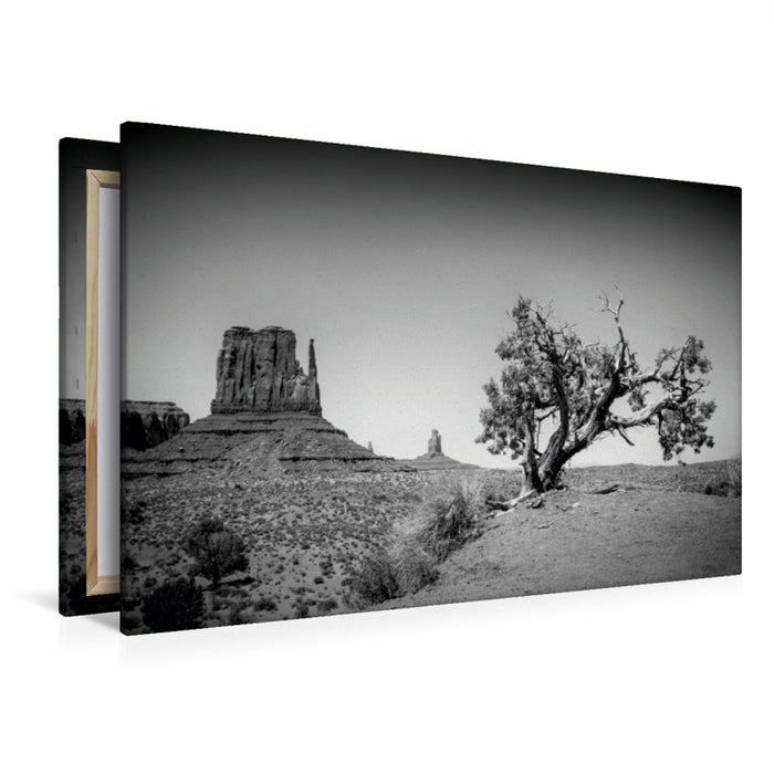 Premium Textil-Leinwand Premium Textil-Leinwand 120 cm x 80 cm quer MONUMENT VALLEY West Mitten Butte und Baum