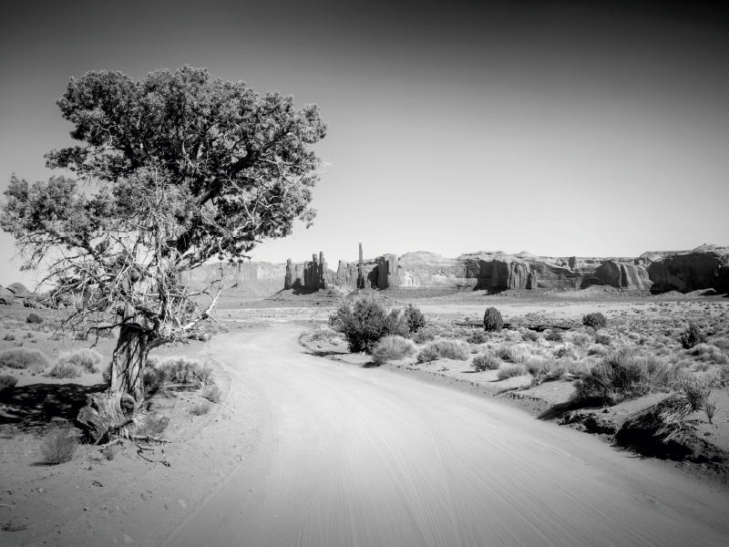 Monument Valley Drive und Totem Pole - CALVENDO Foto-Puzzle - calvendoverlag 29.99