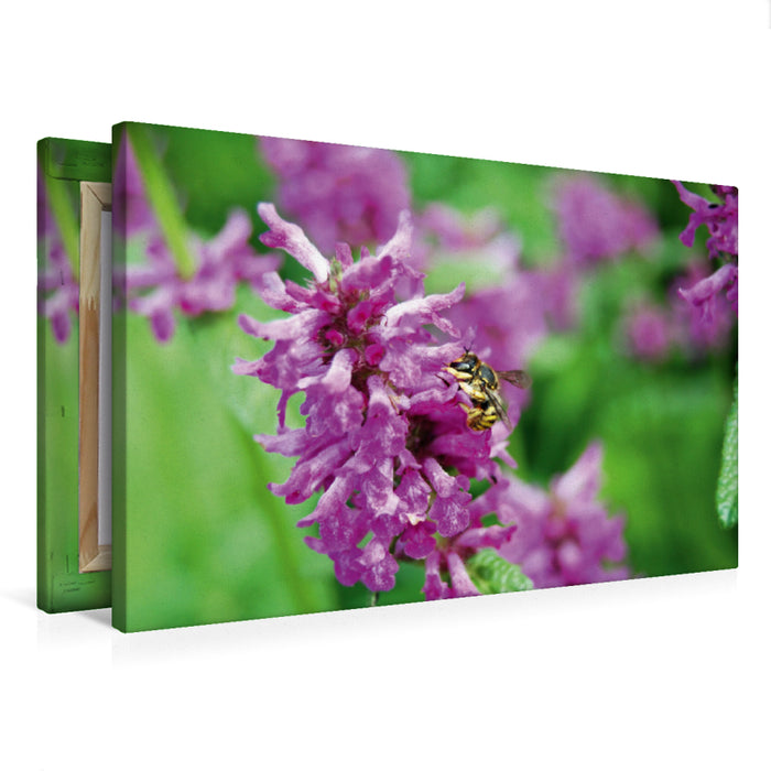 Toile textile haut de gamme Toile textile haut de gamme 75 cm x 50 cm paysage abeille sauvage sur fleur. abeille en laine 