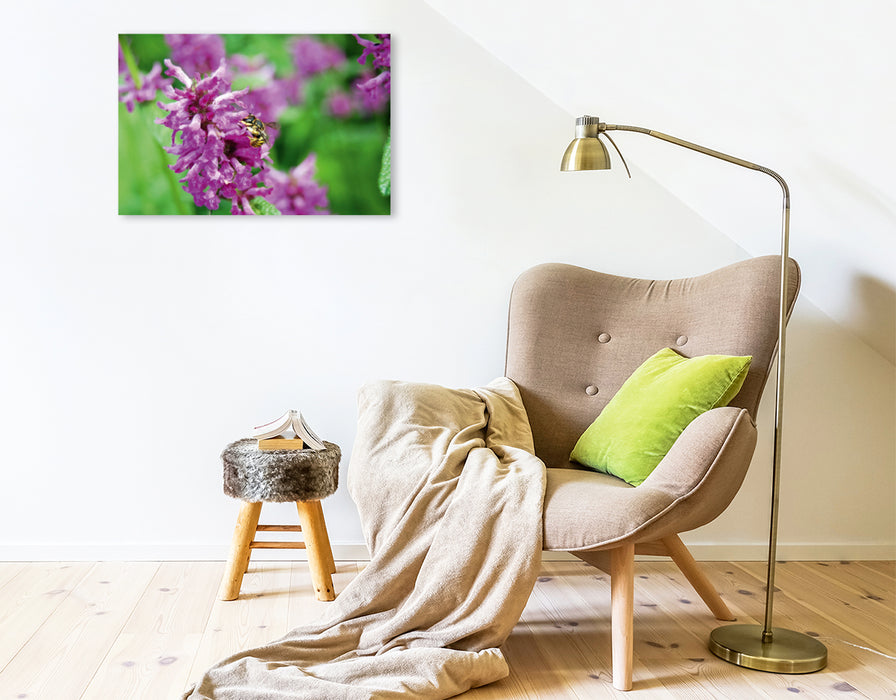 Premium textile canvas Premium textile canvas 75 cm x 50 cm landscape wild bee on flower. wool bee 