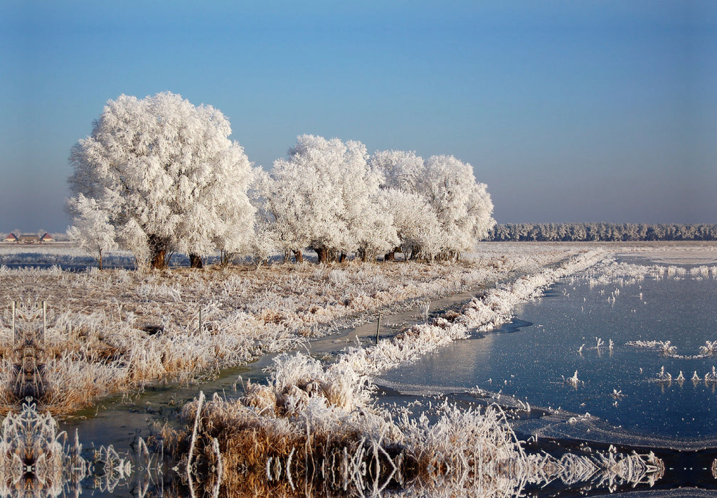 Premium textile canvas Premium textile canvas 45 cm x 30 cm across Hoarfrost weather in Havelland 