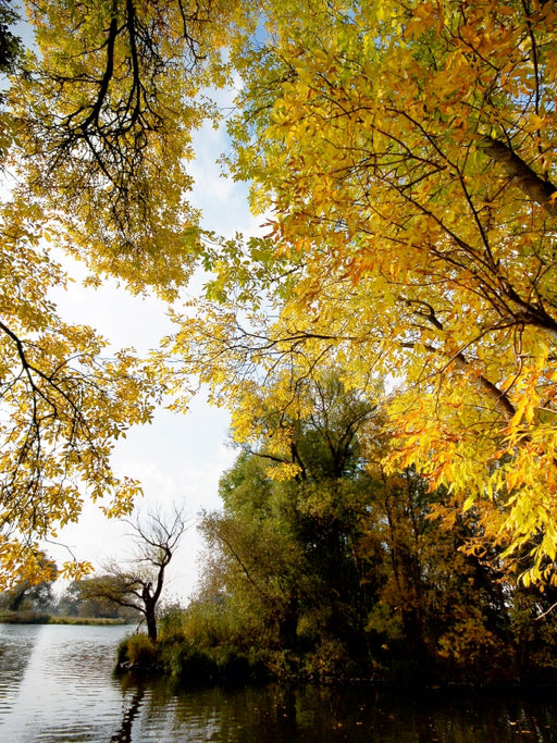 Herbst im Havelland - CALVENDO Foto-Puzzle - calvendoverlag 29.99