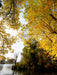 Herbst im Havelland - CALVENDO Foto-Puzzle - calvendoverlag 29.99