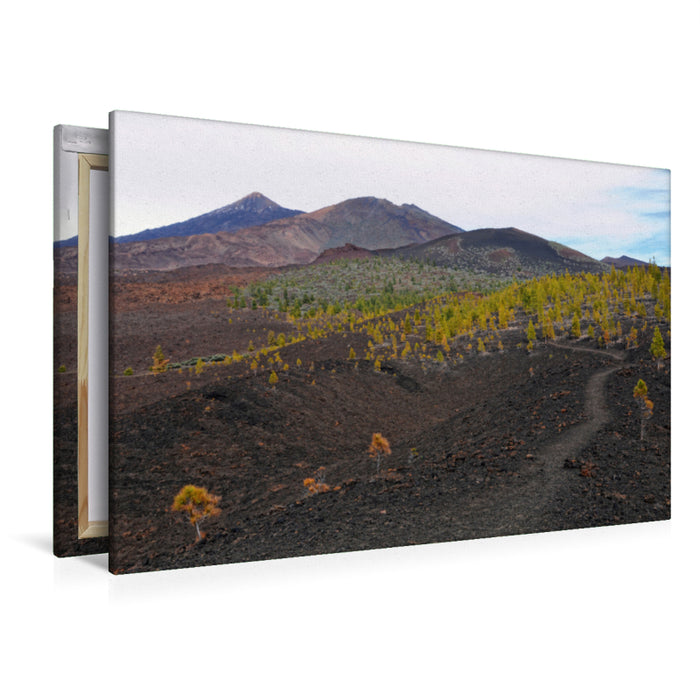 Premium Textil-Leinwand Premium Textil-Leinwand 120 cm x 80 cm quer Landschaft im Teide Nationalpark Teneriffa