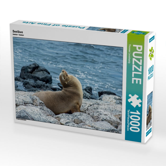 Seelöwe - CALVENDO Foto-Puzzle - calvendoverlag 29.99