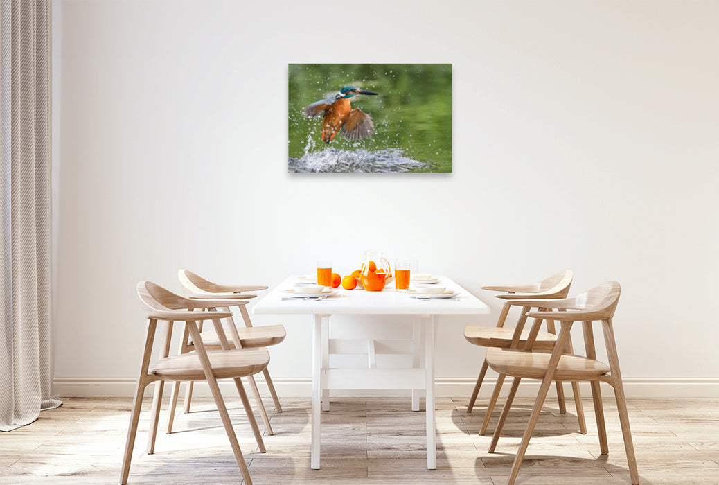 Premium textile canvas Premium textile canvas 90 cm x 60 cm landscape Kingfisher emerging from the water 