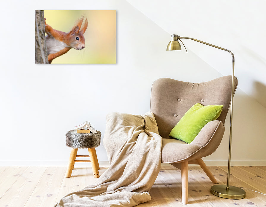 Premium textile canvas Premium textile canvas 75 cm x 50 cm landscape Squirrel 