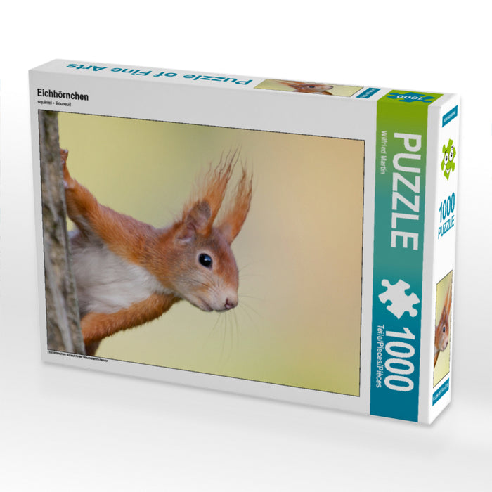 Eichhörnchen - CALVENDO Foto-Puzzle - calvendoverlag 29.99