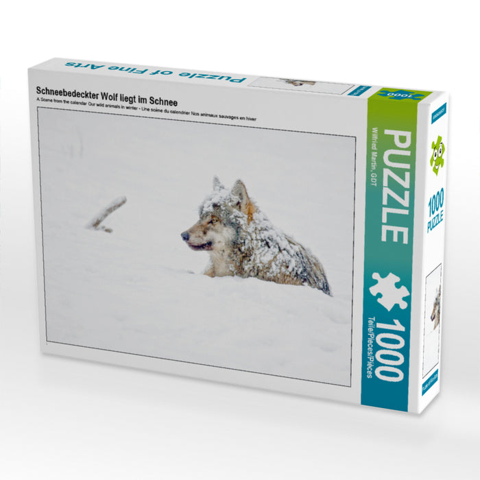 Schneebedeckter Wolf liegt im Schnee - CALVENDO Foto-Puzzle - calvendoverlag 29.99