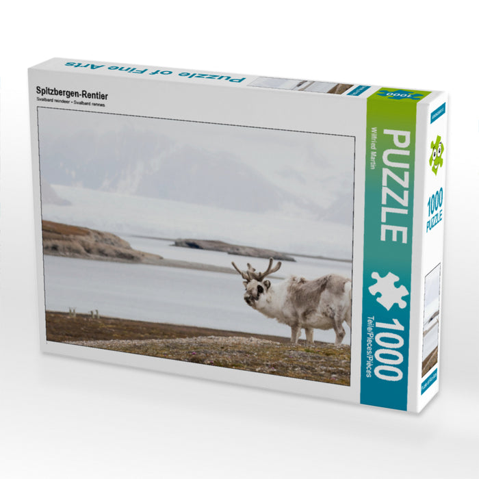 Spitzbergen-Rentier - CALVENDO Foto-Puzzle - calvendoverlag 29.99