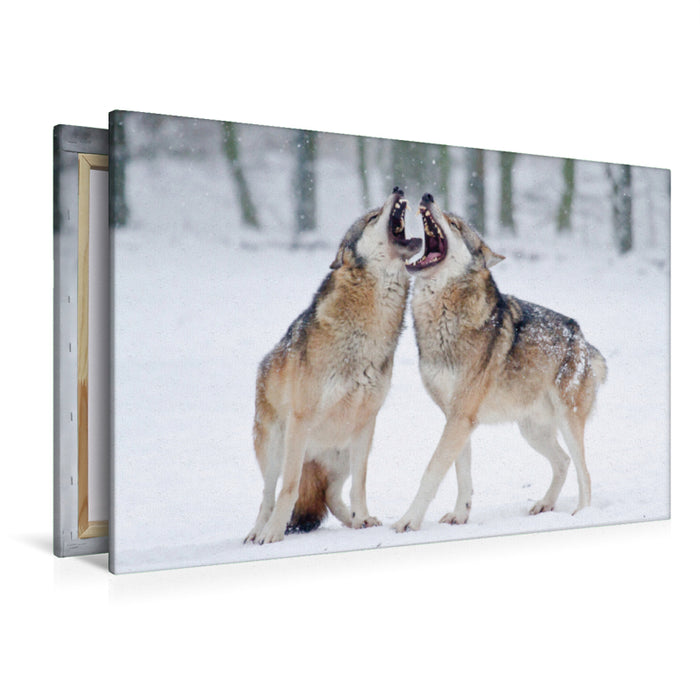 Premium textile canvas Premium textile canvas 120 cm x 80 cm landscape Howling Wolves 