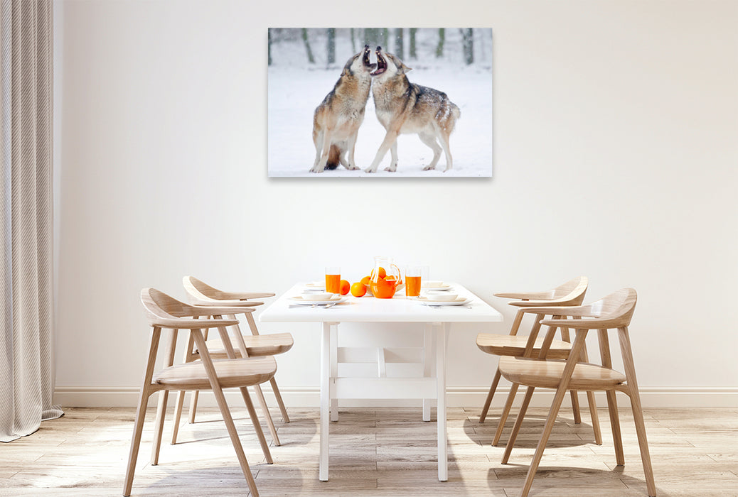 Premium textile canvas Premium textile canvas 120 cm x 80 cm landscape Howling Wolves 