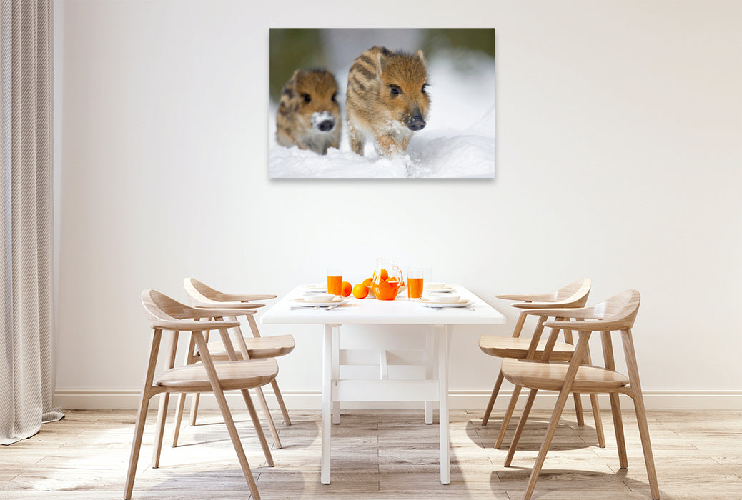 Premium textile canvas Premium textile canvas 120 cm x 80 cm landscape Freshlings in the snow 