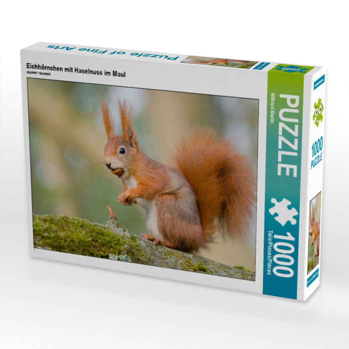 Eichhörnchen mit Haselnuss im Maul - CALVENDO Foto-Puzzle - calvendoverlag 29.99