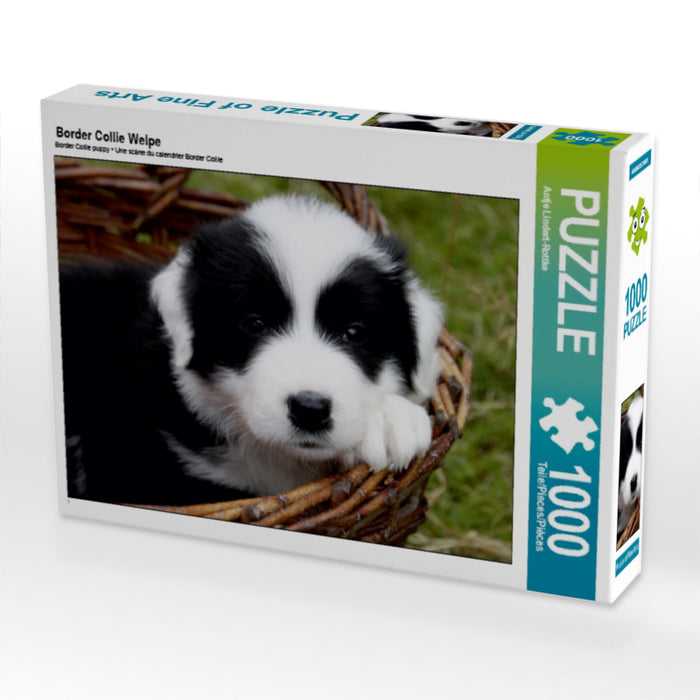 Border Collie Welpe - CALVENDO Foto-Puzzle - calvendoverlag 29.99