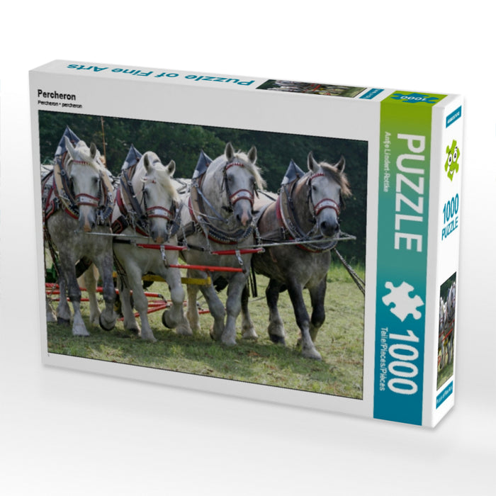 Percheron - CALVENDO Foto-Puzzle - calvendoverlag 29.99