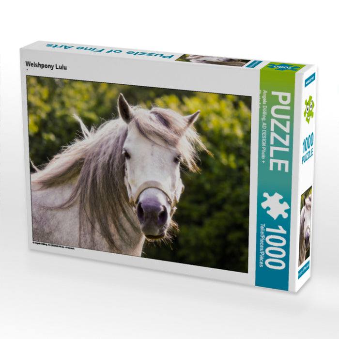 Welshpony Lulu - CALVENDO Foto-Puzzle - calvendoverlag 29.99