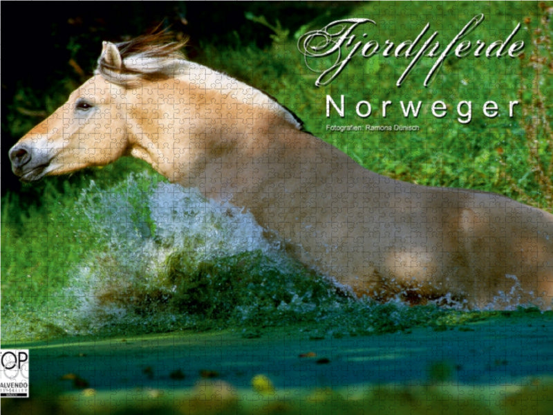 Fjordpferde - Norweger - CALVENDO Foto-Puzzle - calvendoverlag 29.99