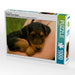 Airedale Terrier Welpen - CALVENDO Foto-Puzzle - calvendoverlag 29.99