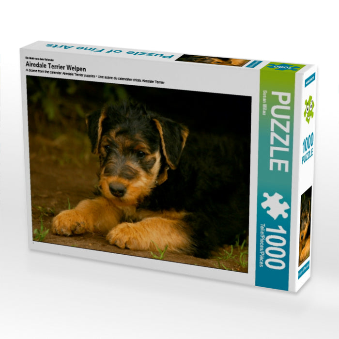 Airedale Terrier Welpen - CALVENDO Foto-Puzzle - calvendoverlag 29.99