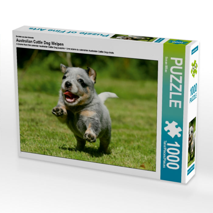 Australian Cattle Dog Welpen - CALVENDO Foto-Puzzle - calvendoverlag 29.99