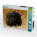 Bouvier des Flandres - CALVENDO Foto-Puzzle - calvendoverlag 29.99