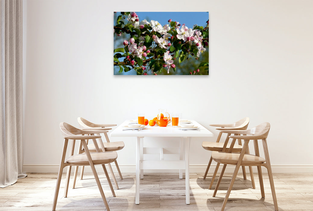 Toile textile premium Toile textile premium 120 cm x 80 cm paysage fleurs de pommier