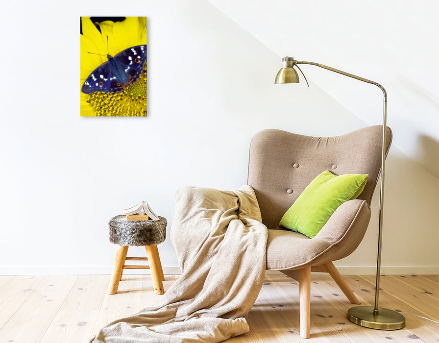 Toile textile premium Toile textile premium 30 cm x 45 cm de haut Petit papillon irisé sur tournesol 