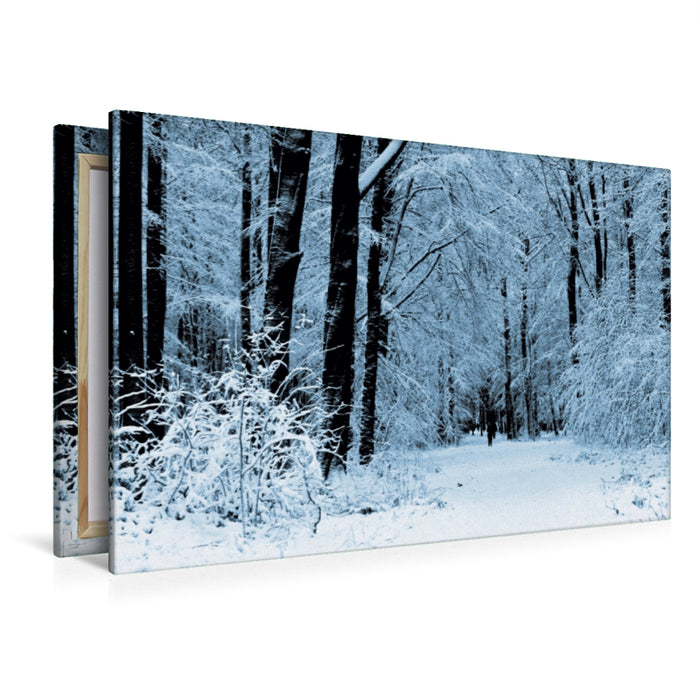 Premium Textil-Leinwand Premium Textil-Leinwand 120 cm x 80 cm quer Winter im Wald
