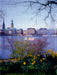 Die Hamburger Skyline im Frühling - CALVENDO Foto-Puzzle - calvendoverlag 29.99