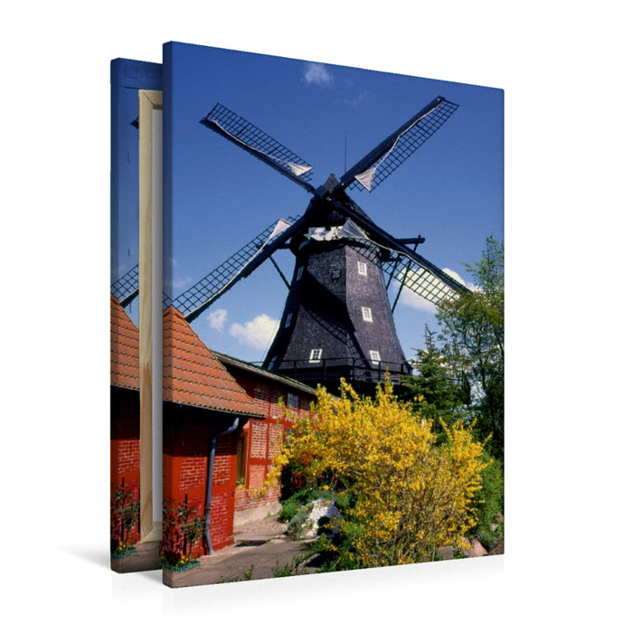 Premium Textil-Leinwand Premium Textil-Leinwand 60 cm x 90 cm hoch Ein Motiv aus dem Kalender Windmühlen in Norddeutschland
