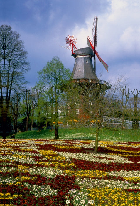 Premium Textil-Leinwand Premium Textil-Leinwand 60 cm x 90 cm hoch Windmühle in Bremer Park