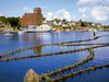 Heringszaun bei Kappeln an der Schlei - CALVENDO Foto-Puzzle - calvendoverlag 29.99