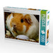 Osterschwein - CALVENDO Foto-Puzzle - calvendoverlag 29.99