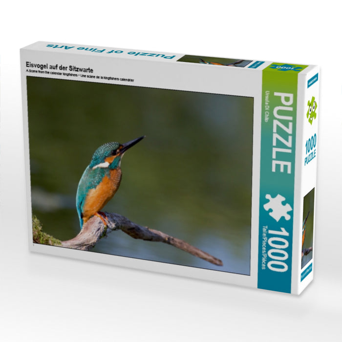 Eisvogel auf der Sitzwarte - CALVENDO Foto-Puzzle - calvendoverlag 29.99