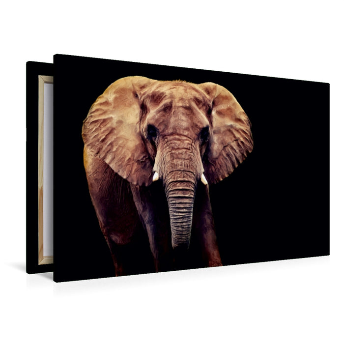 Premium Textil-Leinwand Premium Textil-Leinwand 120 cm x 80 cm quer Afrikanischer Elefant