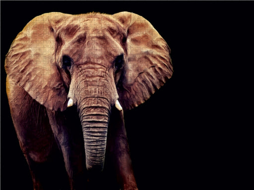 Afrikanischer Elefant - CALVENDO Foto-Puzzle - calvendoverlag 29.99
