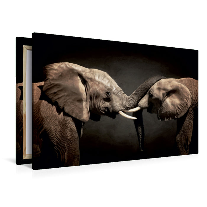 Premium Textil-Leinwand Premium Textil-Leinwand 120 cm x 80 cm quer Two Elephants