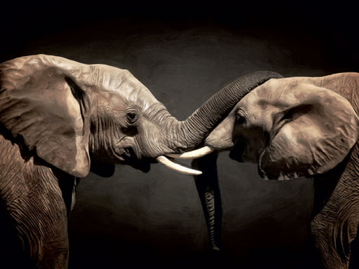 Two Elephants - CALVENDO Foto-Puzzle - calvendoverlag 29.99