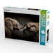 Two Elephants - CALVENDO Foto-Puzzle - calvendoverlag 29.99