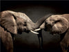 Two Elephants - CALVENDO Foto-Puzzle - calvendoverlag 29.99