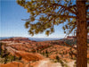 BRYCE CANYON Blick über das Tal - CALVENDO Foto-Puzzle - calvendoverlag 29.99