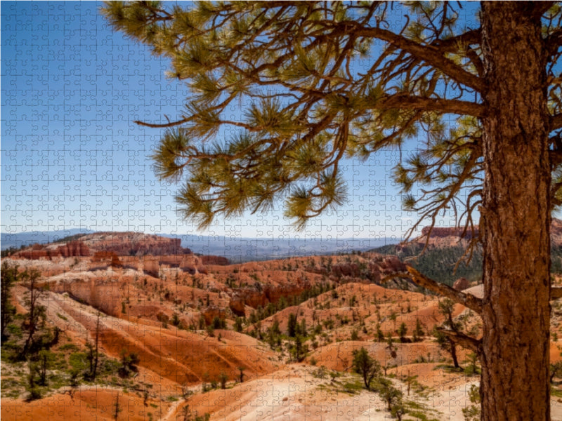 BRYCE CANYON Blick über das Tal - CALVENDO Foto-Puzzle - calvendoverlag 29.99