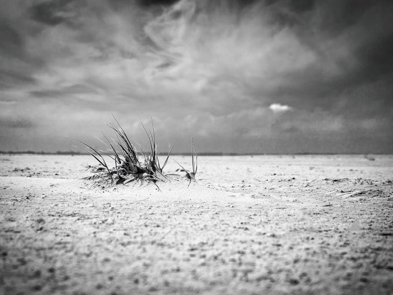 Strandgeselle - CALVENDO Foto-Puzzle - calvendoverlag 29.99